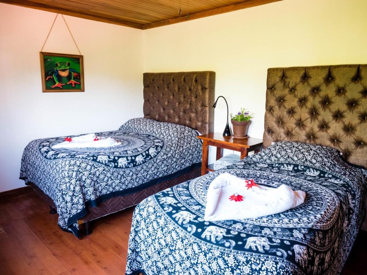 Luna Inn B&B Ciudad Cariari Exteriér fotografie