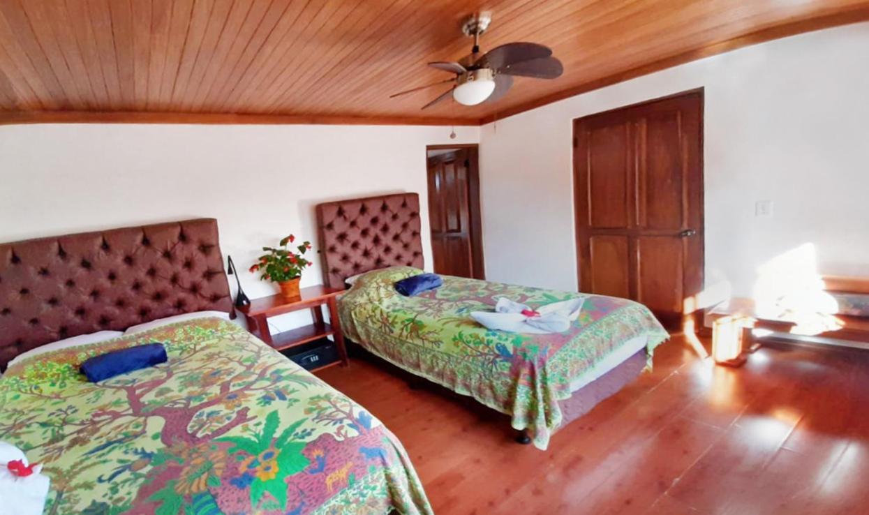 Luna Inn B&B Ciudad Cariari Exteriér fotografie