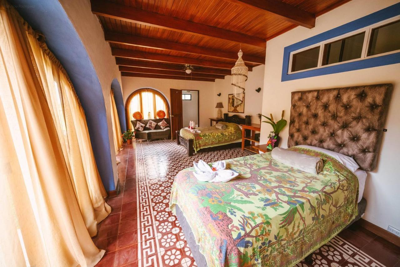 Luna Inn B&B Ciudad Cariari Exteriér fotografie